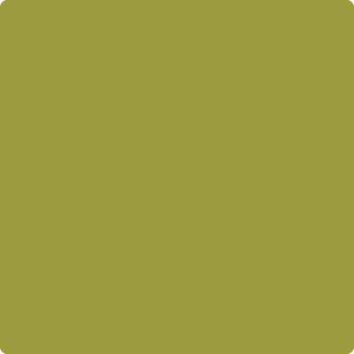 2146-20: Forest Moss  a paint color by Benjamin Moore avaiable at Clement's Paint in Austin, TX.