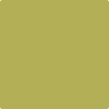 2146-30: Split Pea  a paint color by Benjamin Moore avaiable at Clement's Paint in Austin, TX.