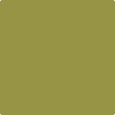 2147-20: Olive Moss  a paint color by Benjamin Moore avaiable at Clement's Paint in Austin, TX.