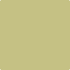 2147-40: Dill Pickle  a paint color by Benjamin Moore avaiable at Clement's Paint in Austin, TX.