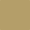 2148-30: Military Tan  a paint color by Benjamin Moore avaiable at Clement's Paint in Austin, TX.