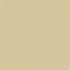 2148-40: Light Khaki  a paint color by Benjamin Moore avaiable at Clement's Paint in Austin, TX.
