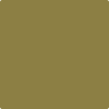 2149-10: Newt Green  a paint color by Benjamin Moore avaiable at Clement's Paint in Austin, TX.