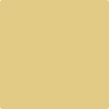 215-Yosemite: Yellow  a paint color by Benjamin Moore avaiable at Clement's Paint in Austin, TX.