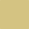 2150-40: Spring Dust  a paint color by Benjamin Moore avaiable at Clement's Paint in Austin, TX.