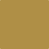 2151-20: Golden Chalice  a paint color by Benjamin Moore avaiable at Clement's Paint in Austin, TX.