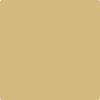 2151-40: Sulfur Yellow  a paint color by Benjamin Moore avaiable at Clement's Paint in Austin, TX.