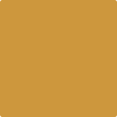2154-20: Spicy Mustard  a paint color by Benjamin Moore avaiable at Clement's Paint in Austin, TX.