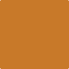 2156-10: Autumn Orange  a paint color by Benjamin Moore avaiable at Clement's Paint in Austin, TX.