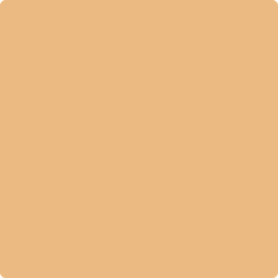 2158-40: Golden Mist  a paint color by Benjamin Moore avaiable at Clement's Paint in Austin, TX.