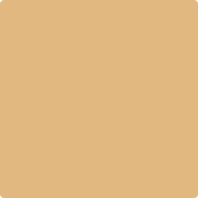2160-40: Roasted Sesame Seeds  a paint color by Benjamin Moore avaiable at Clement's Paint in Austin, TX.