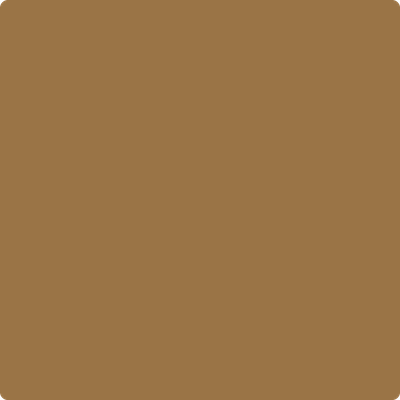 2162-30: Warm Tan  a paint color by Benjamin Moore avaiable at Clement's Paint in Austin, TX.