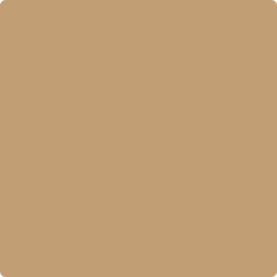 2162-40: Peanut Shell  a paint color by Benjamin Moore avaiable at Clement's Paint in Austin, TX.