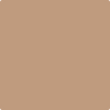 2163-40: Metallic Gold  a paint color by Benjamin Moore avaiable at Clement's Paint in Austin, TX.
