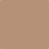 2164-40: Serengeti Sand  a paint color by Benjamin Moore avaiable at Clement's Paint in Austin, TX.