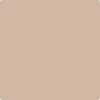 2164-50: Saint Martin Sand  a paint color by Benjamin Moore avaiable at Clement's Paint in Austin, TX.