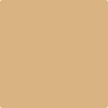 2165-40: Dark Beige  a paint color by Benjamin Moore avaiable at Clement's Paint in Austin, TX.