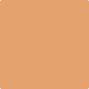 2166-40: Soft Pumpkin  a paint color by Benjamin Moore avaiable at Clement's Paint in Austin, TX.