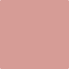 2172-50: Bouquet Rose  a paint color by Benjamin Moore avaiable at Clement's Paint in Austin, TX.