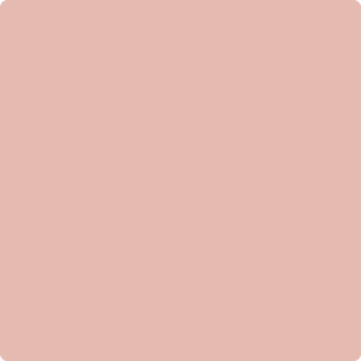 2173-50: Coral Dust  a paint color by Benjamin Moore avaiable at Clement's Paint in Austin, TX.