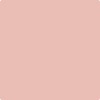 2174-50: Eraser Pink  a paint color by Benjamin Moore avaiable at Clement's Paint in Austin, TX.