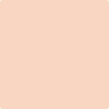 2175-60: Light Salmon  a paint color by Benjamin Moore avaiable at Clement's Paint in Austin, TX.
