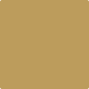 223-El: Sereno Gold  a paint color by Benjamin Moore avaiable at Clement's Paint in Austin, TX.