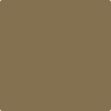 237-Silken: Moss  a paint color by Benjamin Moore avaiable at Clement's Paint in Austin, TX.
