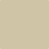 242-Laurel: Canyon Beige  a paint color by Benjamin Moore avaiable at Clement's Paint in Austin, TX.