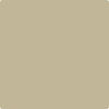 243-Baffin: Island  a paint color by Benjamin Moore avaiable at Clement's Paint in Austin, TX.