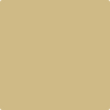 249-Sombrero:  a paint color by Benjamin Moore avaiable at Clement's Paint in Austin, TX.