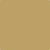 250-Porter: Ridge Tan  a paint color by Benjamin Moore avaiable at Clement's Paint in Austin, TX.