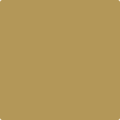 258-Acorn: Squash  a paint color by Benjamin Moore avaiable at Clement's Paint in Austin, TX.