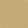 272-Avant: Garde  a paint color by Benjamin Moore avaiable at Clement's Paint in Austin, TX.