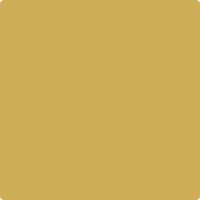 279-Hollywood: Gold  a paint color by Benjamin Moore avaiable at Clement's Paint in Austin, TX.