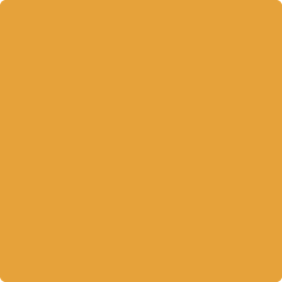 308-Golden: Vista  a paint color by Benjamin Moore avaiable at Clement's Paint in Austin, TX.
