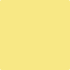 326-Good: Morning Sunshine  a paint color by Benjamin Moore avaiable at Clement's Paint in Austin, TX.