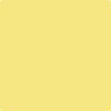 334-Limon:  a paint color by Benjamin Moore avaiable at Clement's Paint in Austin, TX.