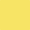 335-Delightful: Yellow  a paint color by Benjamin Moore avaiable at Clement's Paint in Austin, TX.