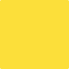 336-Bold: Yellow  a paint color by Benjamin Moore avaiable at Clement's Paint in Austin, TX.