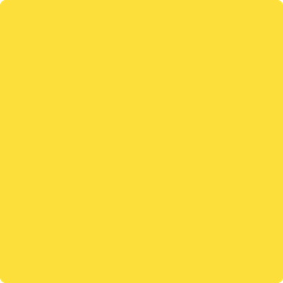 336-Bold: Yellow  a paint color by Benjamin Moore avaiable at Clement's Paint in Austin, TX.