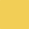 349-Yellow: Brick Road  a paint color by Benjamin Moore avaiable at Clement's Paint in Austin, TX.