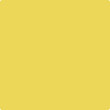 355-Majestic: Yellow  a paint color by Benjamin Moore avaiable at Clement's Paint in Austin, TX.