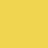 356-Sunny: Afternoon  a paint color by Benjamin Moore avaiable at Clement's Paint in Austin, TX.