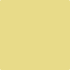 369-Mulholland: Yellow  a paint color by Benjamin Moore avaiable at Clement's Paint in Austin, TX.