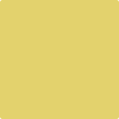 370-Yellow: Tone  a paint color by Benjamin Moore avaiable at Clement's Paint in Austin, TX.