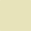 380-Stanhope: Yellow  a paint color by Benjamin Moore avaiable at Clement's Paint in Austin, TX.
