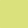 396-Chic: Lime  a paint color by Benjamin Moore avaiable at Clement's Paint in Austin, TX.