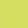 397-Chamomile:  a paint color by Benjamin Moore avaiable at Clement's Paint in Austin, TX.