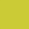 399-Exotic: Lime  a paint color by Benjamin Moore avaiable at Clement's Paint in Austin, TX.
